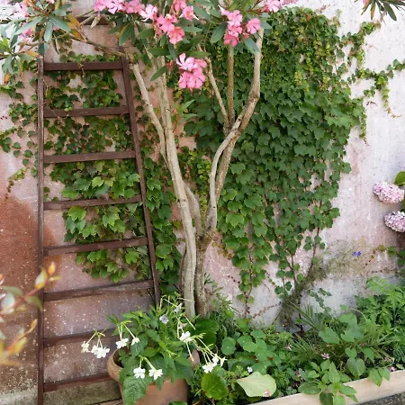 La Petite Dumora By Interhome * آركاشو